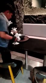 Cafe counter wiping